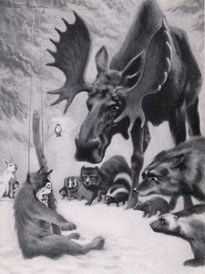 Moose